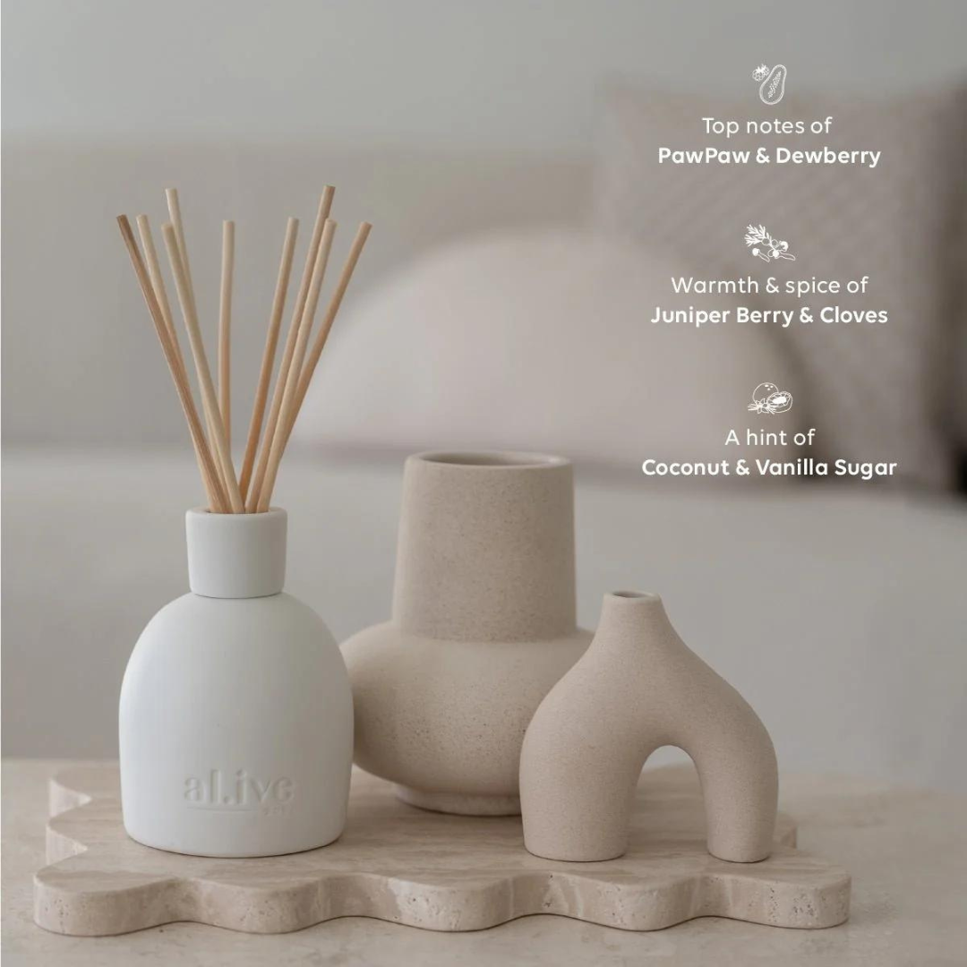 Sweet Dewberry & Clove Diffuser - Ginja B