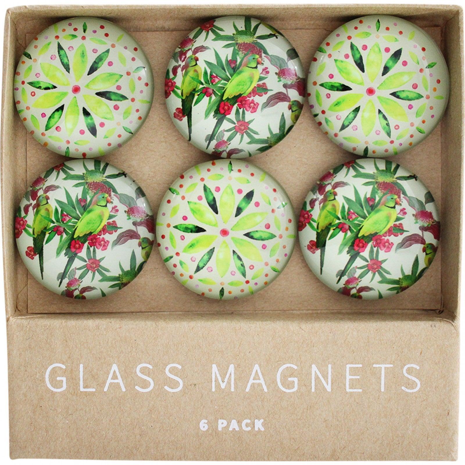 Glass Magnets Parrots - Ginja B